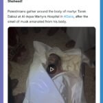 twittershots-doamuslims-1963700997802340732 (1)