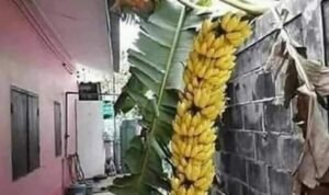 FB_IMG_1649484353040