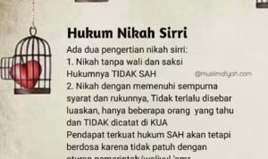 77f9751a-e435-497f-9fdf-68b908382e9a