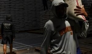 harga-beras-naik-saat-stok-bulog-melimpah-1754971220585_169