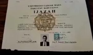 ijazah