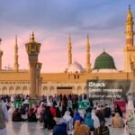 istockphoto-2228301886-1024x1024