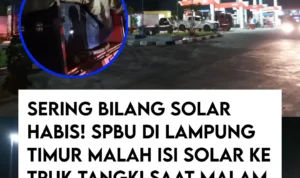 voktis.id_1763355106_3767618168681509957_11647117382