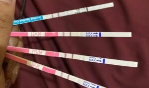 593611409_2139355950202708_3050248875495515817_n