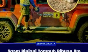 597164559_1381370103392507_1995421264443039714_n