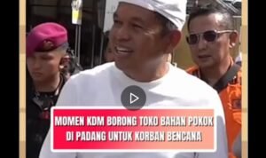 twittershots-bumbelbi1999-1996952292088795447