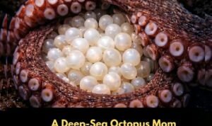 613692029_1424006069097381_6471403165685769458_n