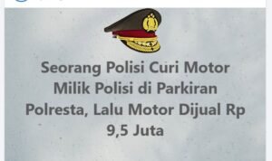 polisi