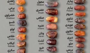 638190237_10232243398011225_640770657314195154_n