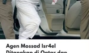 646601097_1483344193371283_8341147471922486141_n