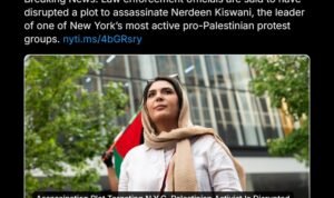 twittershots-nytimes-2037558448087306629