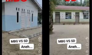 MBG VS SD