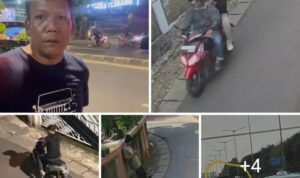 51a2bc70-d652-4c04-ac45-a6b66757d045