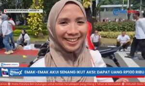 demo mbg