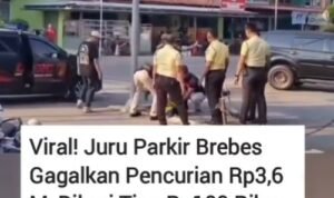 jukir brebes