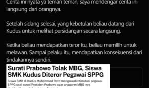 mbg teror