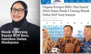 sony nanik mbg