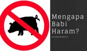 _3895_Kenapa-Babi-Diciptakan--Lantas-Diharamkan-