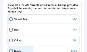 survei ps