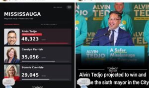 alvin tedjo